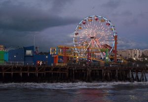 IMG_2145.jpg